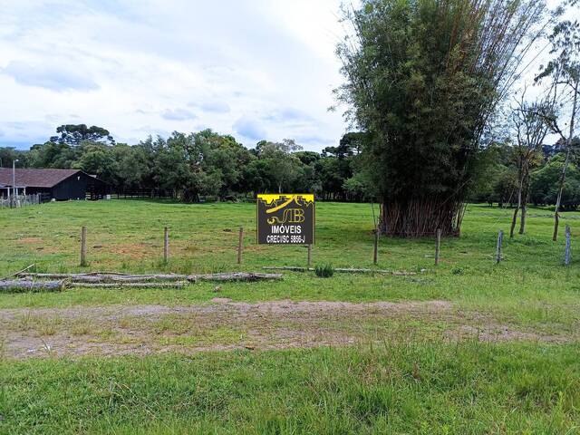Casa para Locação em São Bento do Sul - 5